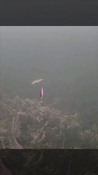 Подводная съемка, атака