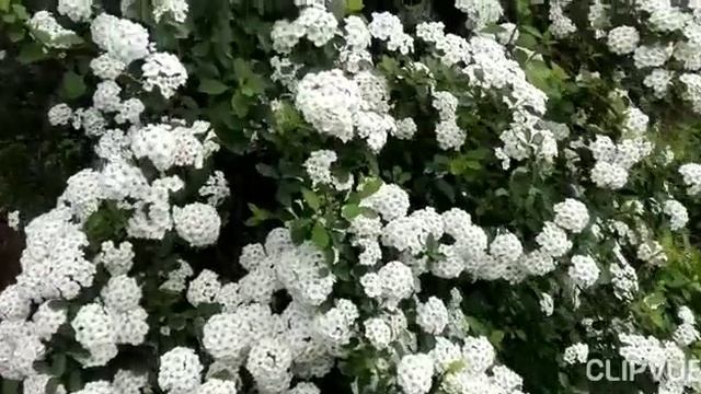 Горячий Ключ. Невероятная красота😍💓