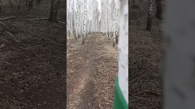 1000043429.mp4