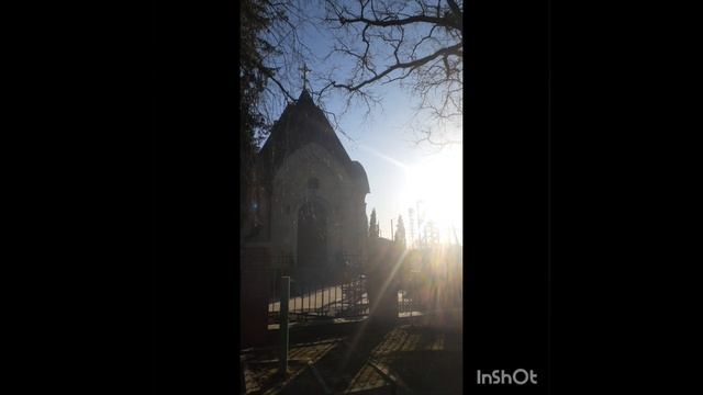 InShot_20250404_080543022