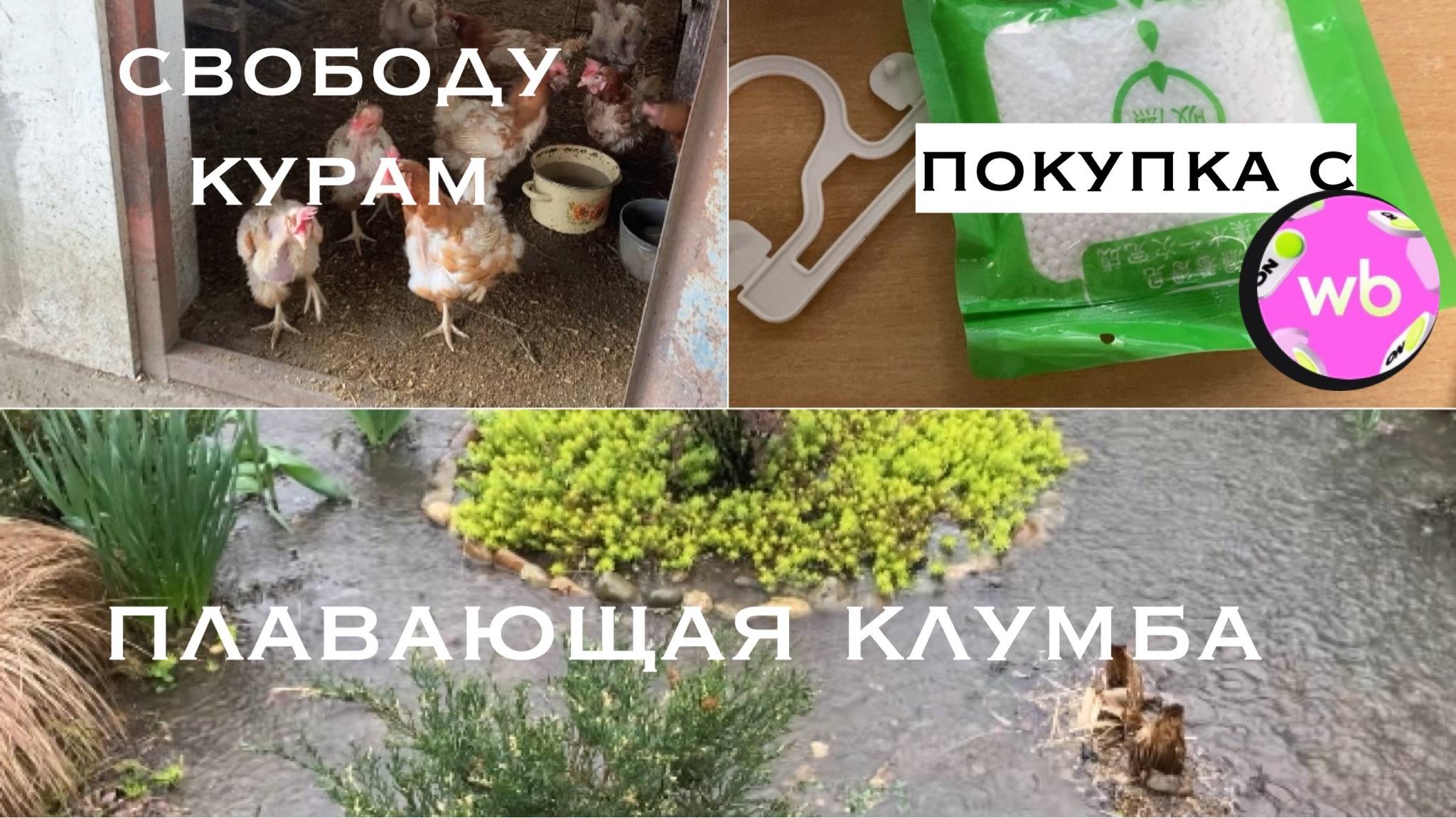 Жизнь в Адыгее / Хуторские будни /Полезная штучка с ВБ /Свободу не понимают/03.04.2025/