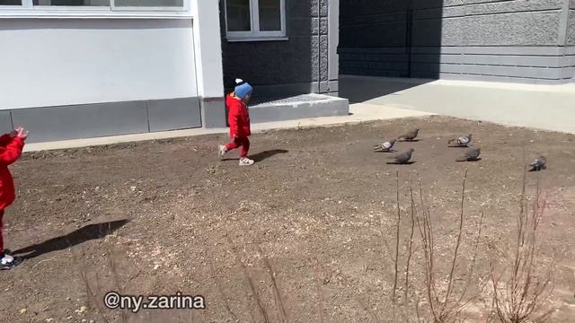 Будни мамы.  Декрет. Двойняшки. Моя семья. /Зарина Нысанова