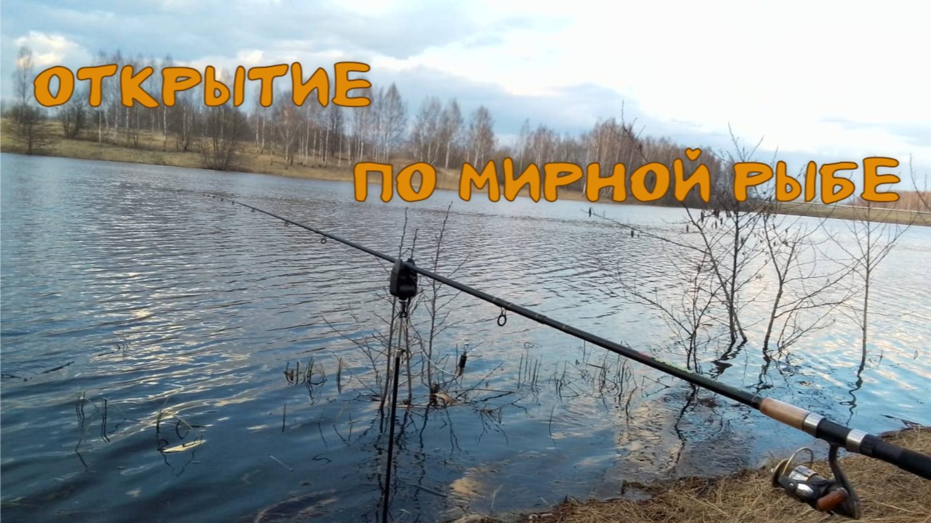 Открытие по мирной рыбе. Р. Сельчанка  04.04.2025