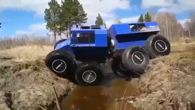 болотоход беркут-8