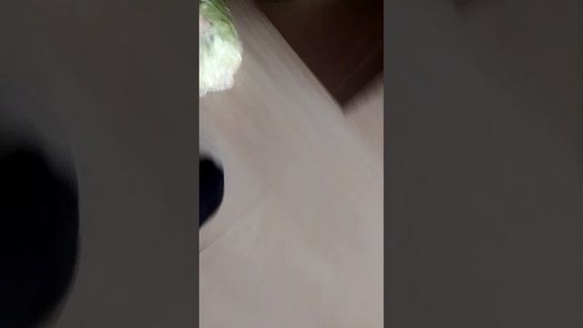 Как приготовить салат Цезарь клип завтра