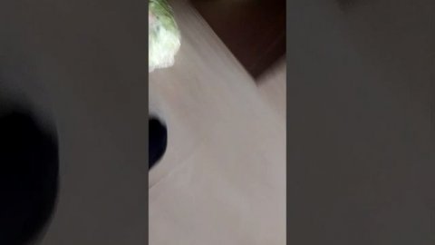 Как приготовить салат Цезарь клип завтра