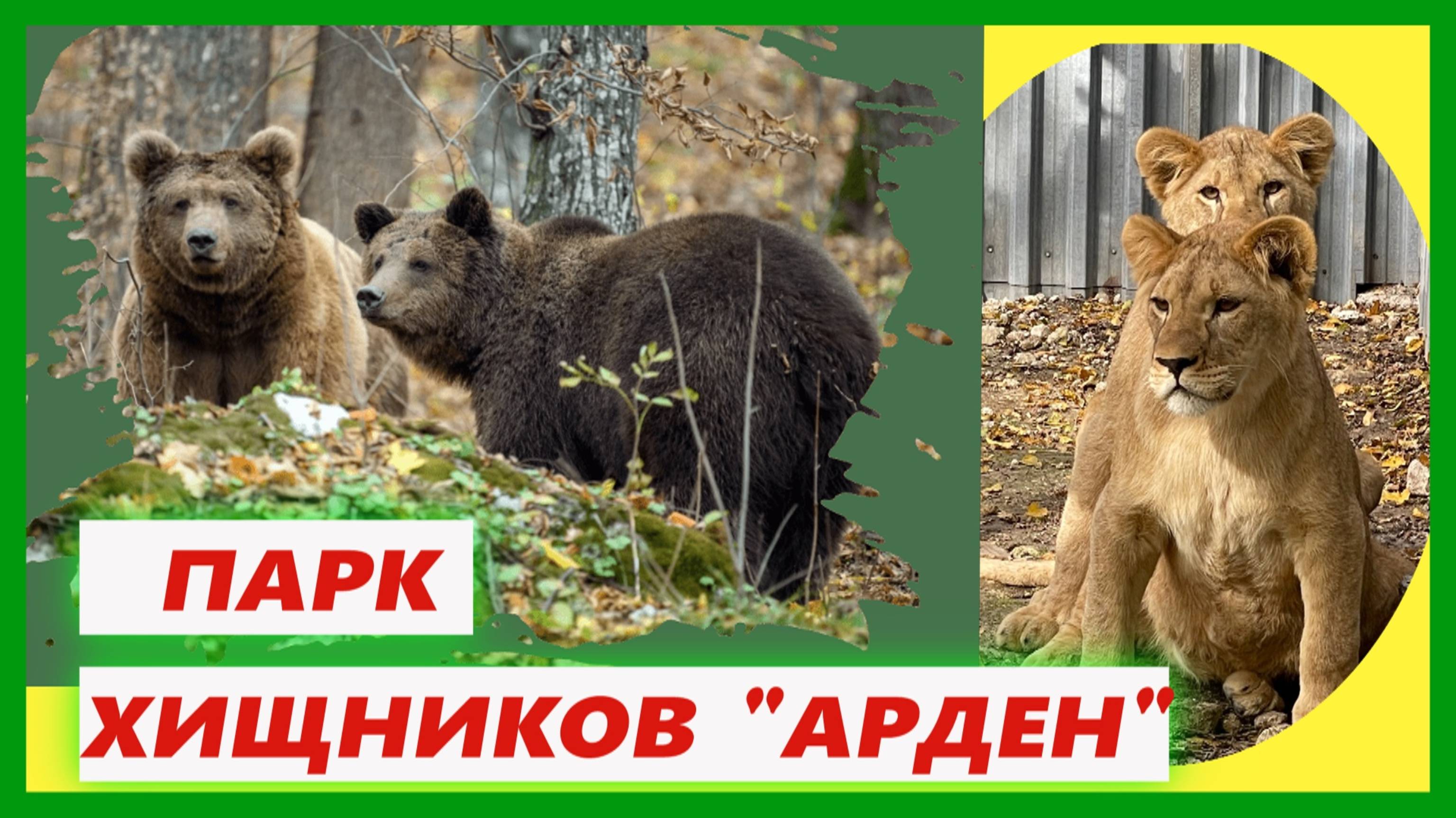 🔴Сатанов🔴Парк хищников АРДЕН🔴Экскурсия с гидом🔴Центр реабилитации животных🔴#мирналадони2020