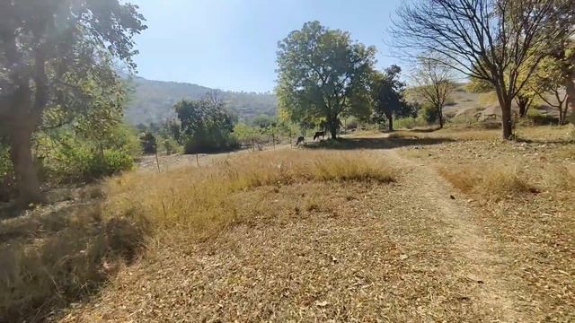 Bharhut pahad vlog / smart city satna / the Sachin vlogs satna