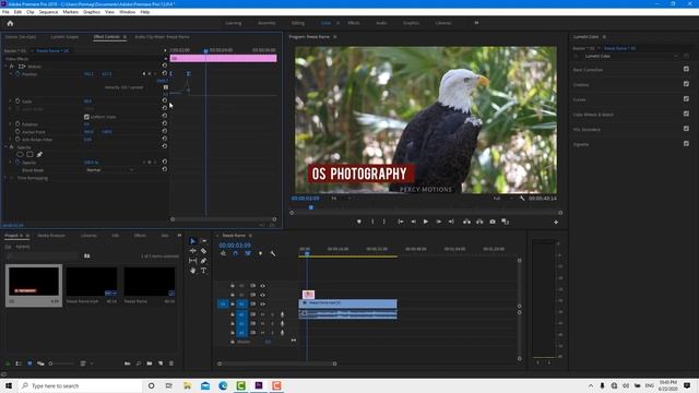 Three easy ways of animating lower thirds in premiere pro (simple lower third)