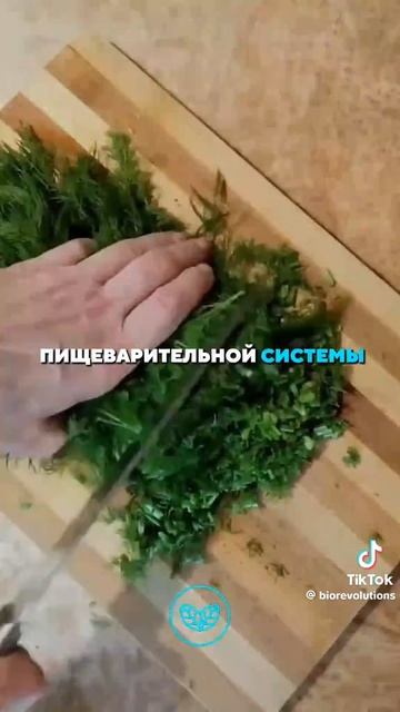 Лучшие травы для здоровья