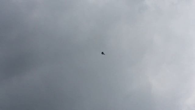 Макс 2017 пилотаж на Т-50