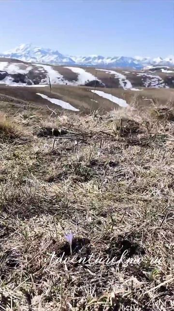 На перевале Гум-баши. Весна в КЧР.