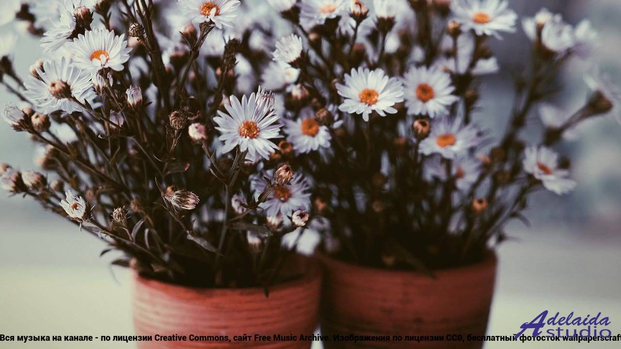 ❤❤❤ Мелодия, созданная нейросетью - Thinking About You (Short 2 Version) -- BoDleasons -- Feels Like
