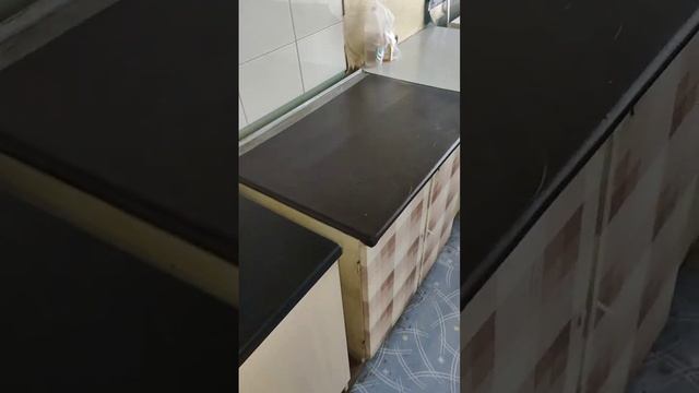 Асаткина 32  комната 5 этаж