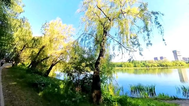 Овдовев и устав от угасающей свекрови, санитарка обреченно шла на смену… А услышав странный писк…