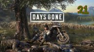 Прохождение Days Gone #21 (Сара жива!?)