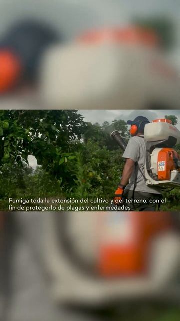 Fumiga el terreno del cultivo de cítricos con la fumigadora SR 430