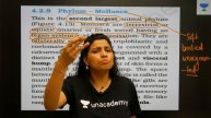 Phoenix 2.0: Biology Most Important Video for NEET 2025 | Udaan
