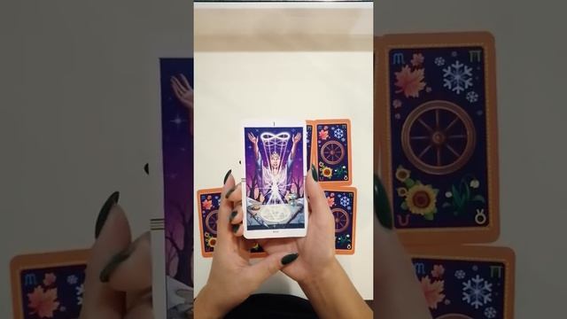 Карта дня на 29 ноября.