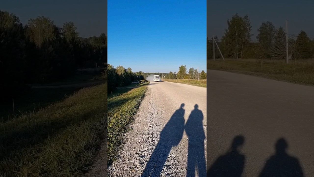 #иппозвезда