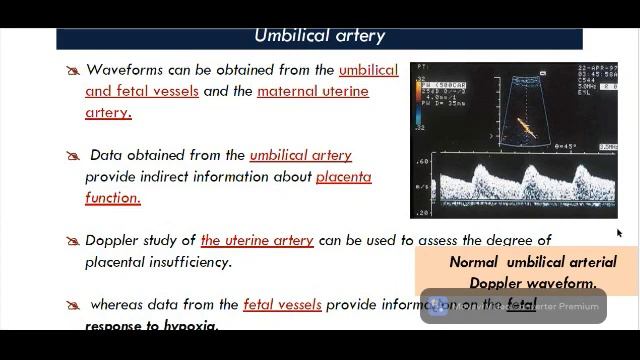 assessment of fetal wellbeing 2