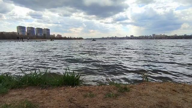 Воронеж🌿