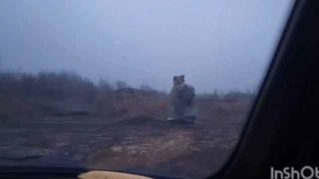 Чудище лесное