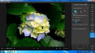 Resmin Arkaplanını Silmek - Movavi Photo Editor 2