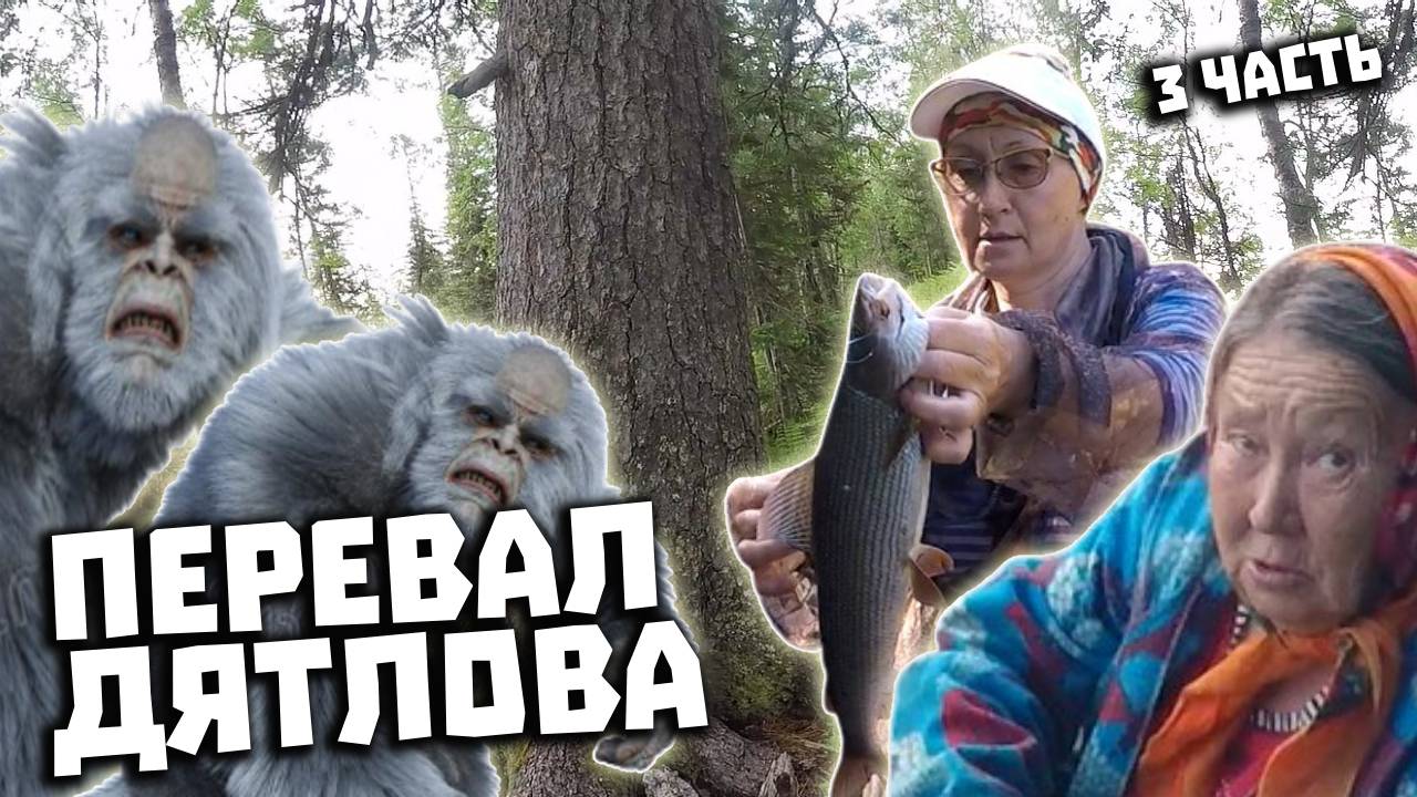 Через Перевал Дятлова 2021. Поисковая экспедиция. Часть 3. Кедр