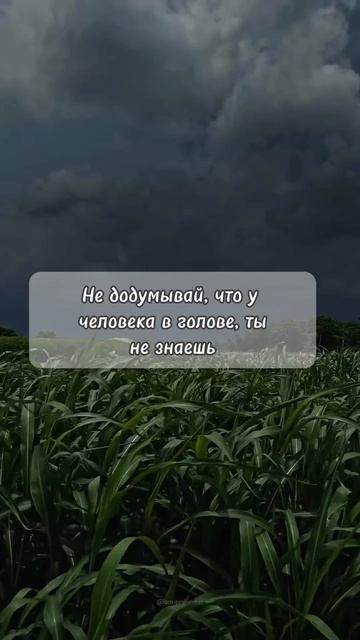 🌈Друзья, подписывайтесь!