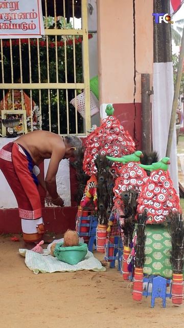 நல்லூர் கந்தசுவாமி ஆலயத்தின் இரதோற்சவம் | Nallur Ther 2022 | Kandaswamy Temple Festival TFC Tamil