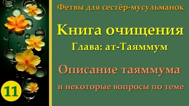11. Книга Очищения (ат-Таяммум)