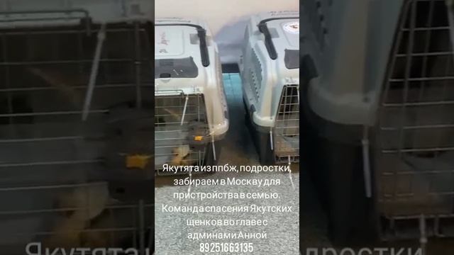 05-04-2025 подростки ппбж Якутска