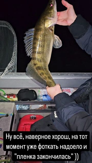 Рыбалка с гидом Spinningist63 в Самаре
