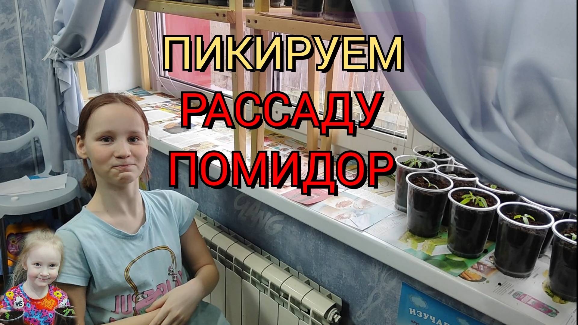 Пикировка рассады