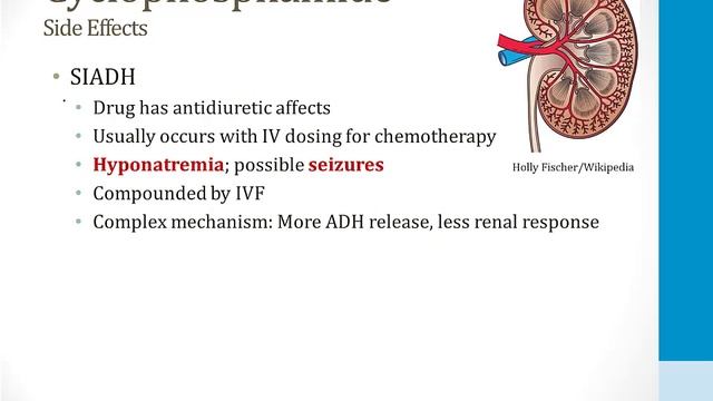 Hematology - 4. Cancer Drugs - 2.Alkylating Agents atf