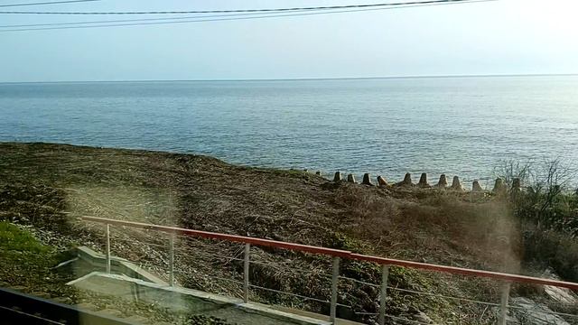 апрель 2025! вдоль Чёрного Моря 🚂 🐬🌴💦☀️