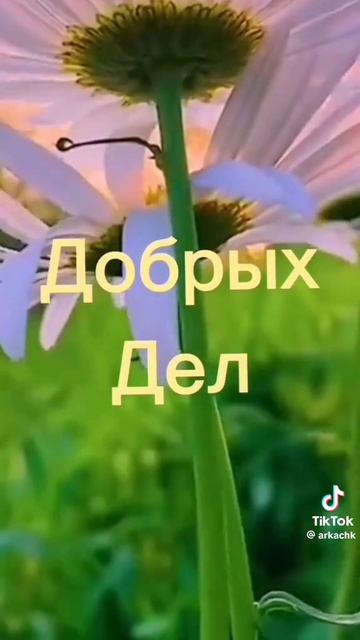 С благословенным утром!