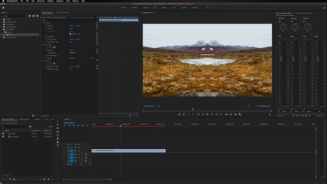 Premiere Pro Mirror Effect Tutorial - Make your videos trippy!