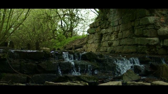 Fairy Forest | Cinematic Shortfilm ( Color Grading Blackmagic Davinci Resolve)