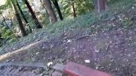 Активная ходьба. Полезные советы для начинающих.