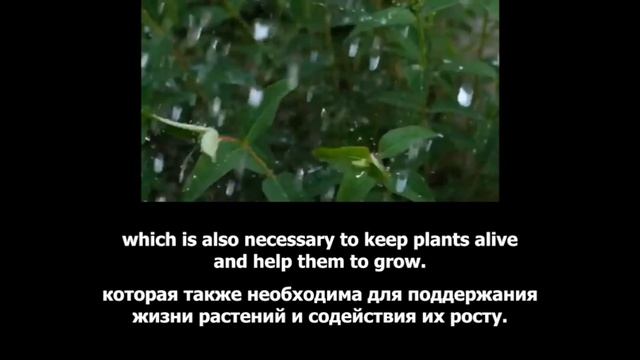 Repeat after the speaker_How do plants grow_For Kids