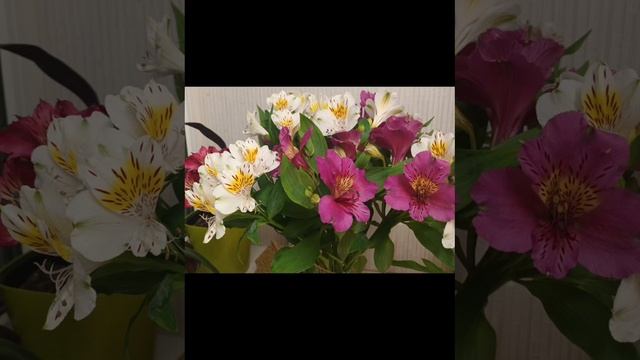 Время покажет