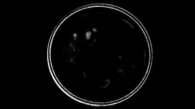 тотальный вселенский нигилизм фильм 2025 (official Harsh Noise film)
