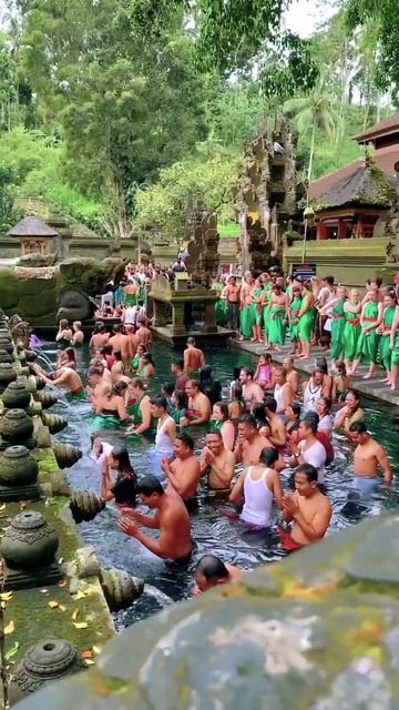 Antusiasme Para Bule Melukat di Pura Tirtha Empul Tampaksiring Bali