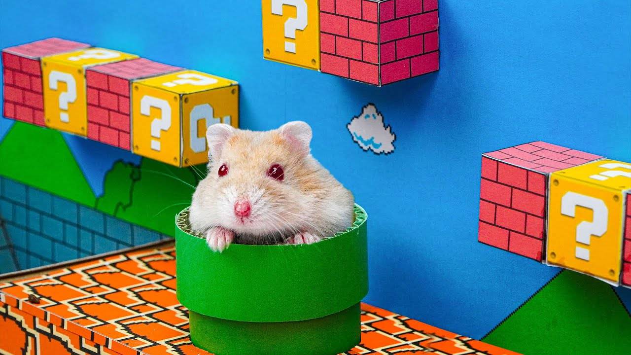 ХОМЯК ИГРАЕТ С ШАРАМИ И ПРОХОДИТ УРОВНИ мультики для детей