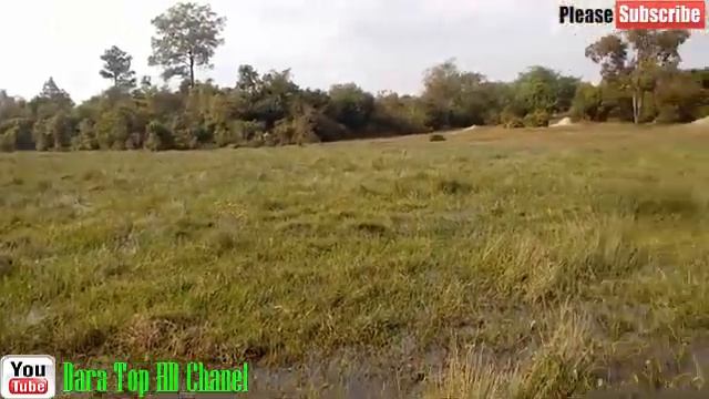 Smart Boy Catch Fish | Amazing Fishing Videos, From BanTeaySrey Temple