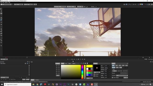 Silhouette Paint: Creative Roto Animation for Instagram