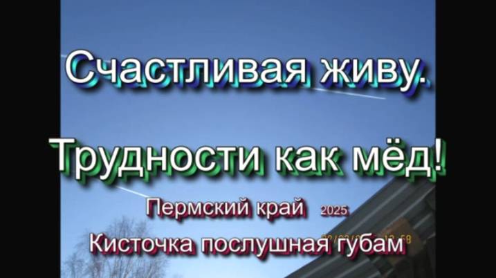 Счастливая живу. Трудности как мёд. Пермский край 2025...