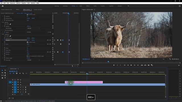 Kamera Shake v Adobe Premiere